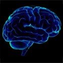 האם קיימת תרופה אולטימטיבית לשימור הזיכרון